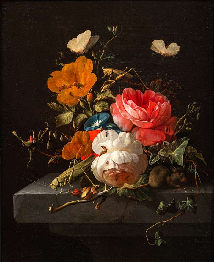 Still Life of Flowers with Insects and a Mouse.